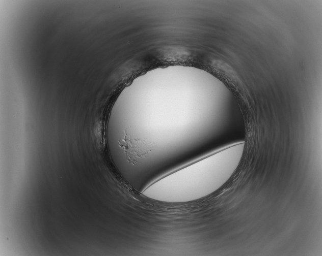 X0000096170428200801180834