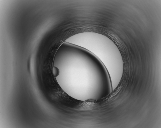 X0000096170429200801180834