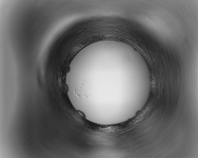 X0000096170430200801180834