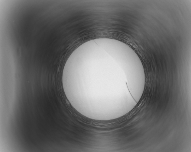 X0000096170431200801180834