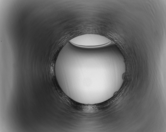 X0000096170432200801180834
