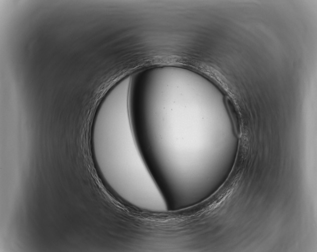 X0000096170433200801180833