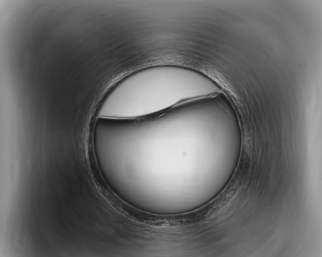 X0000096170434200801180833