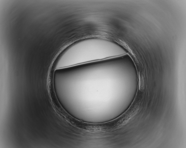 X0000096170435200801180833