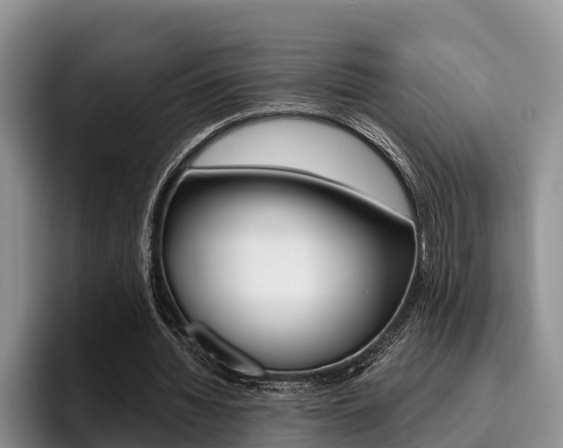 X0000096170436200801180833