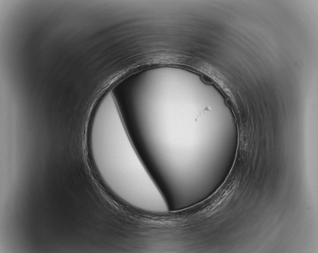 X0000096170437200801180833