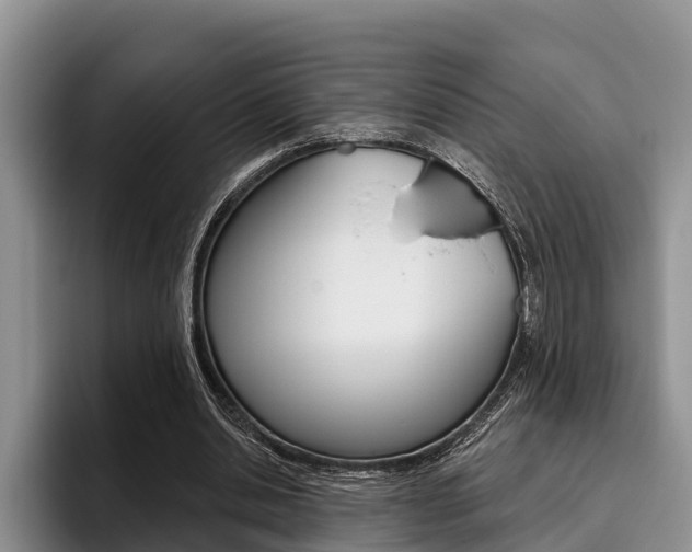 X0000096170438200801180833