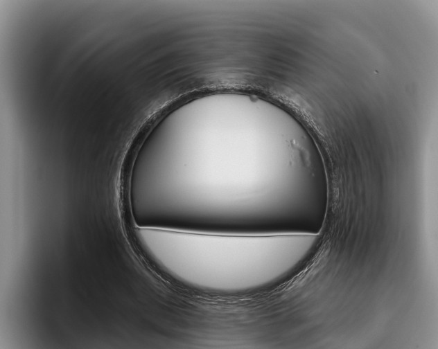 X0000096170439200801180833