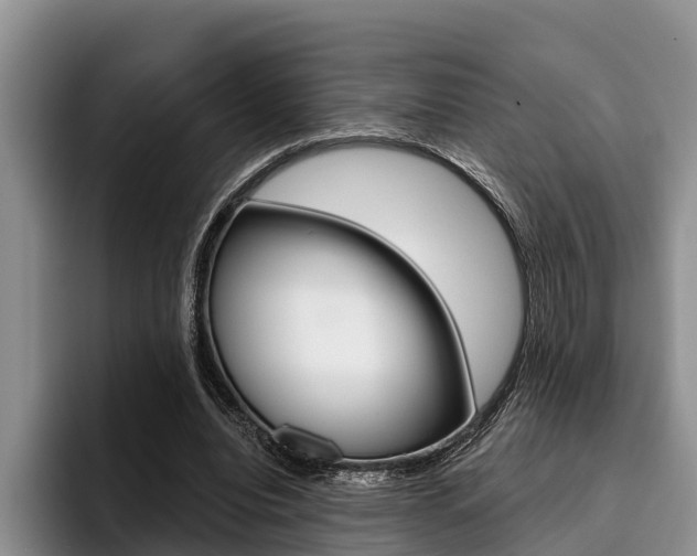 X0000096170440200801180833