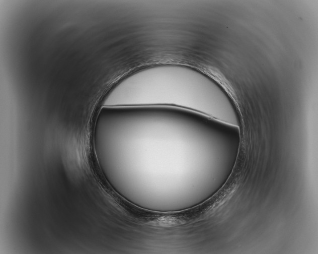 X0000096170441200801180833
