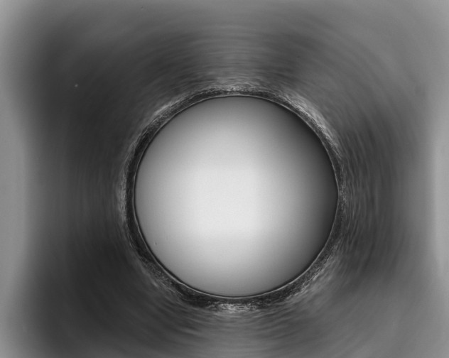 X0000096170442200801180833