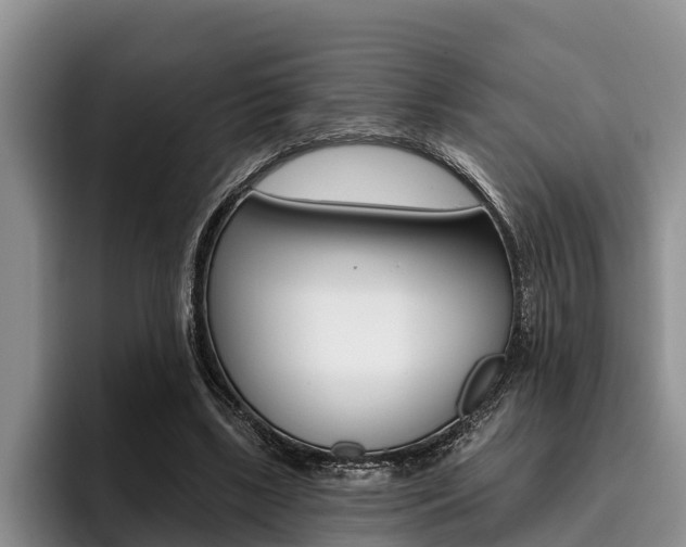 X0000096170443200801180833