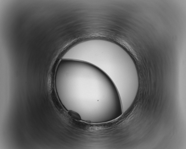X0000096170444200801180833