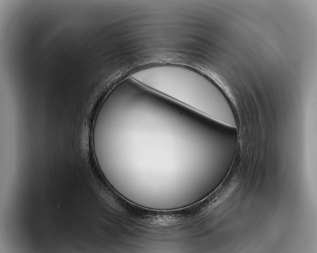 X0000096170445200801180833