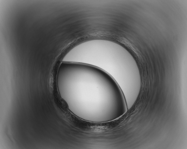 X0000096170448200801180833