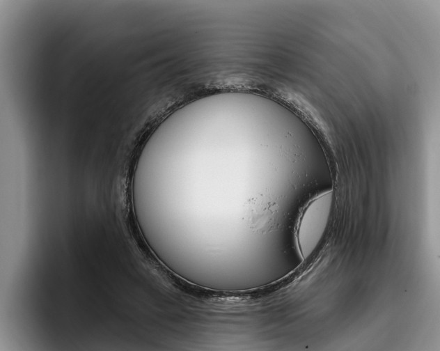 X0000096170449200801180833