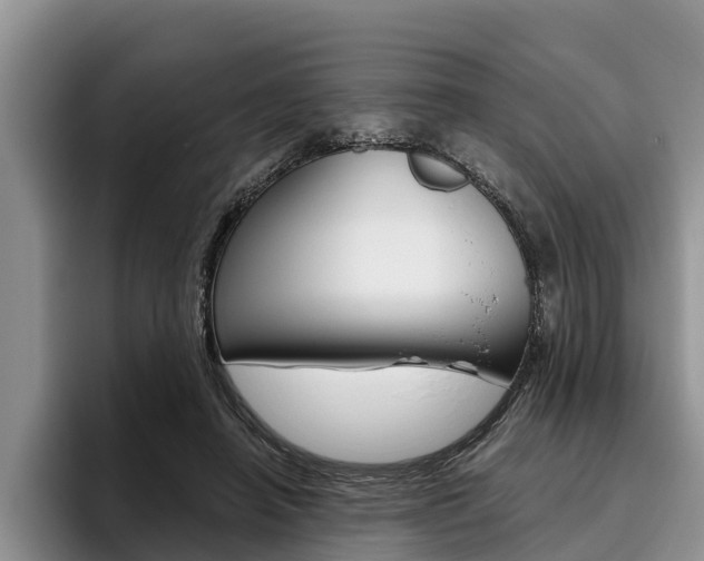 X0000096170450200801180833