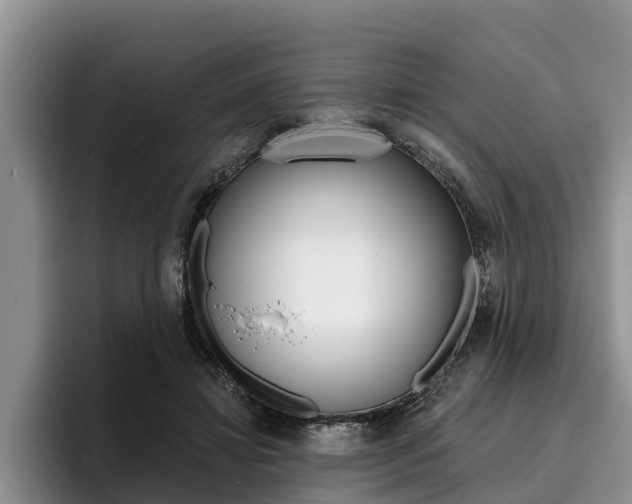 X0000096170452200801180833