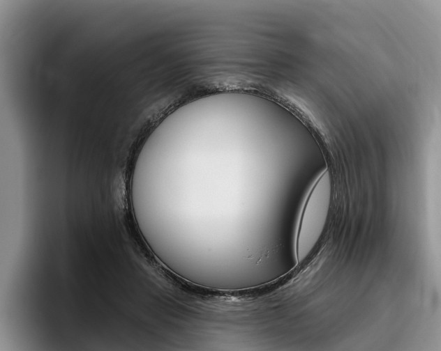 X0000096170453200801180833