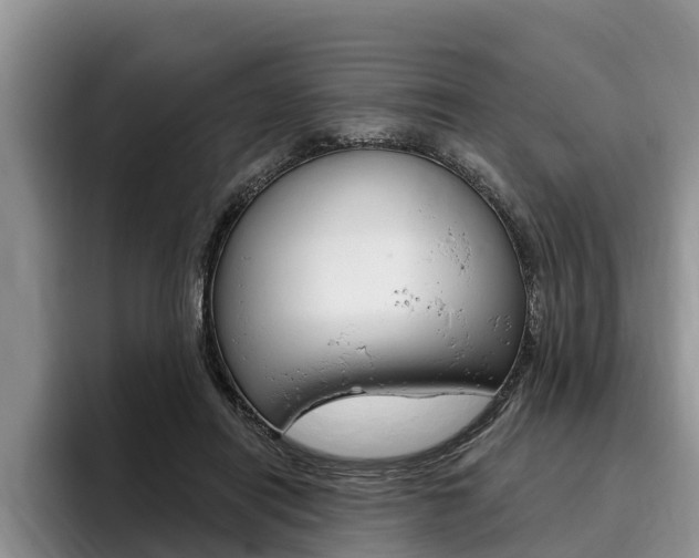 X0000096170454200801180833