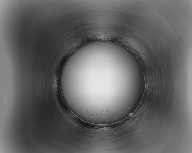 X0000096170456200801180833