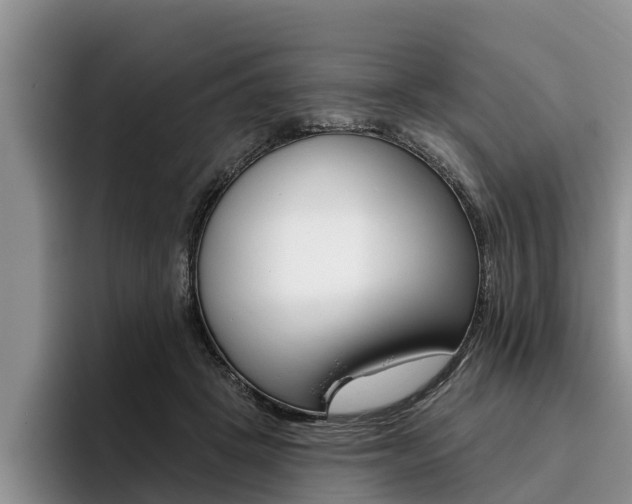 X0000096170457200801180833