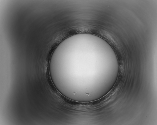 X0000096170458200801180833