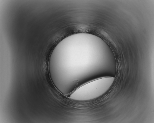 X0000096170459200801180833