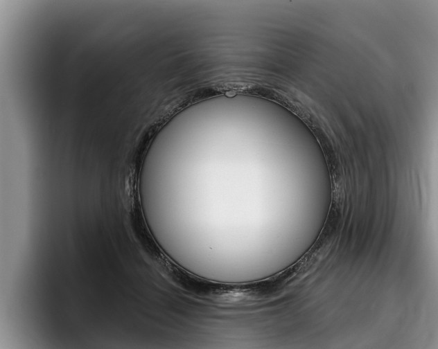 X0000096170460200801180833