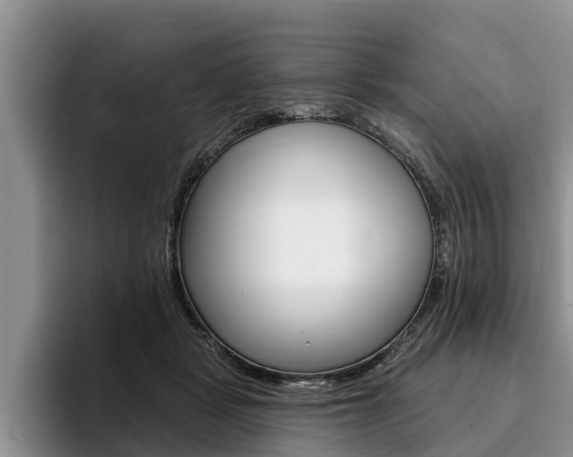 X0000096170461200801180833