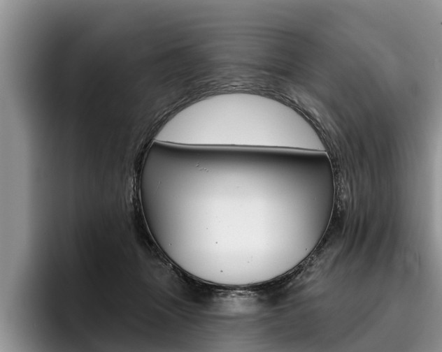 X0000096170463200801180833