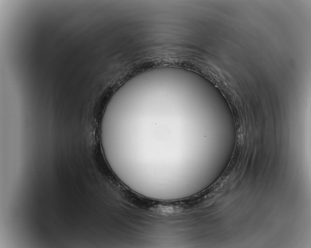 X0000096170464200801180833