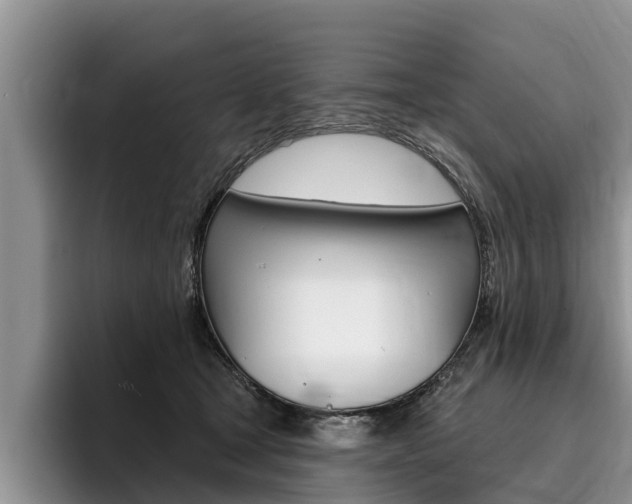 X0000096170465200801180833