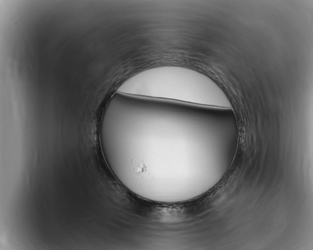 X0000096170466200801180833