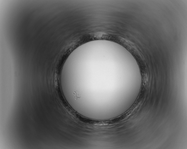 X0000096170470200801180834