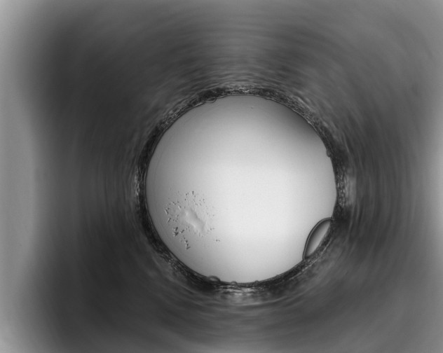 X0000096170472200801180834