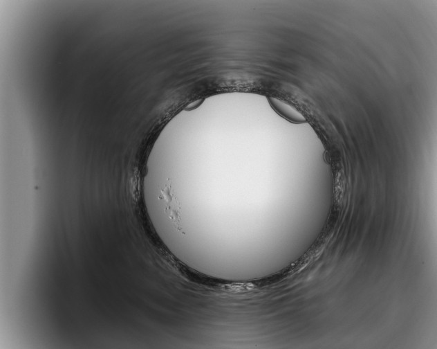 X0000096170474200801180834