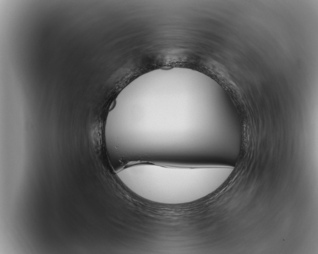 X0000096170475200801180834