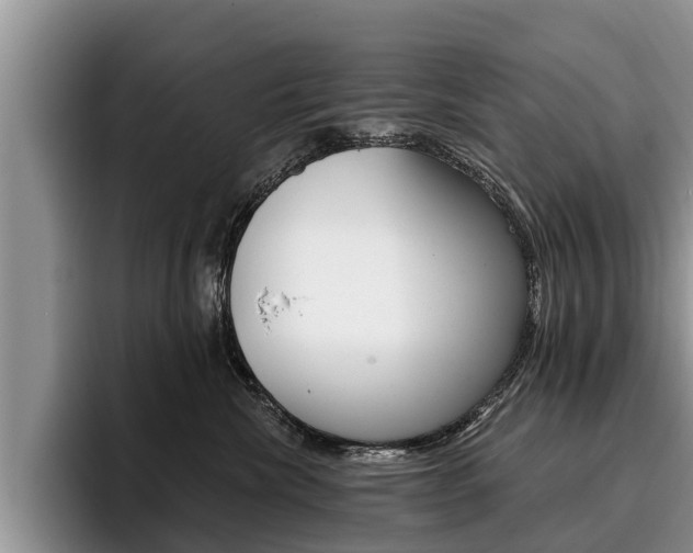 X0000096170476200801180834