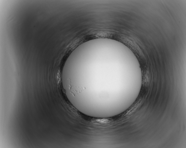 X0000096170478200801180834