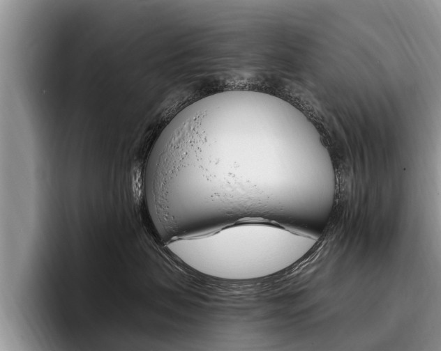X0000096170479200801180834