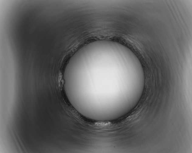 X0000096170480200801180834