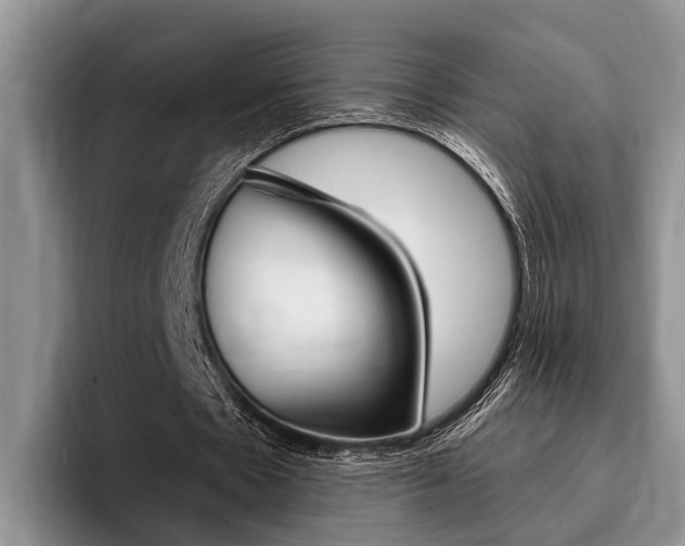 X0000096170481200801180833