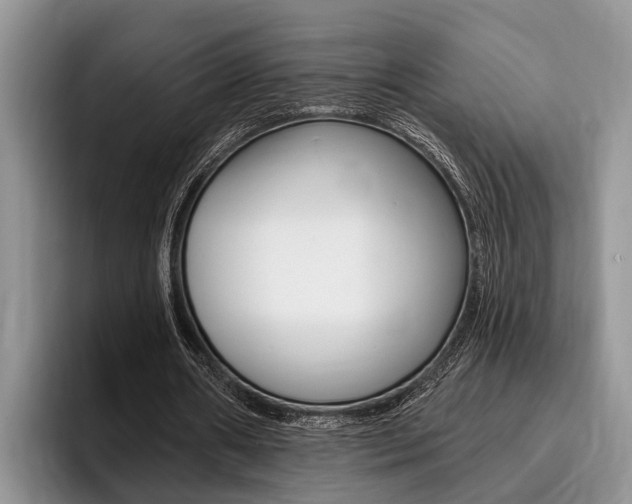 X0000096170482200801180833