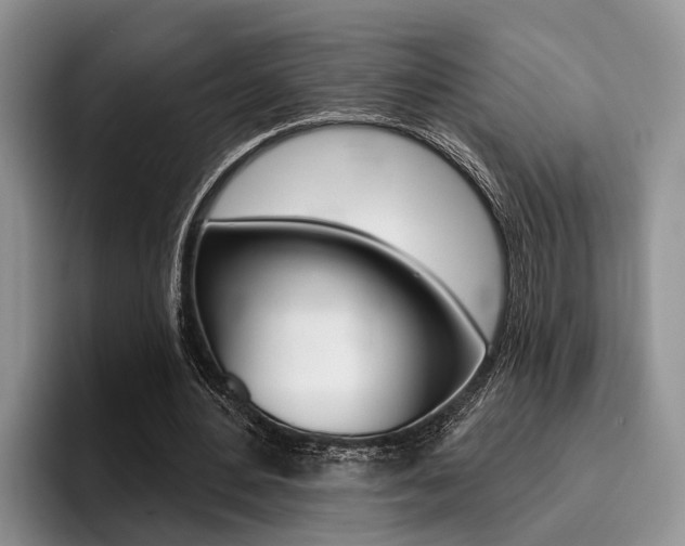 X0000096170484200801180833