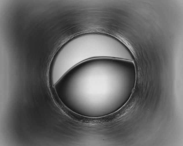 X0000096170485200801180833