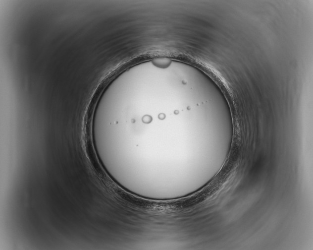 X0000096170487200801180833