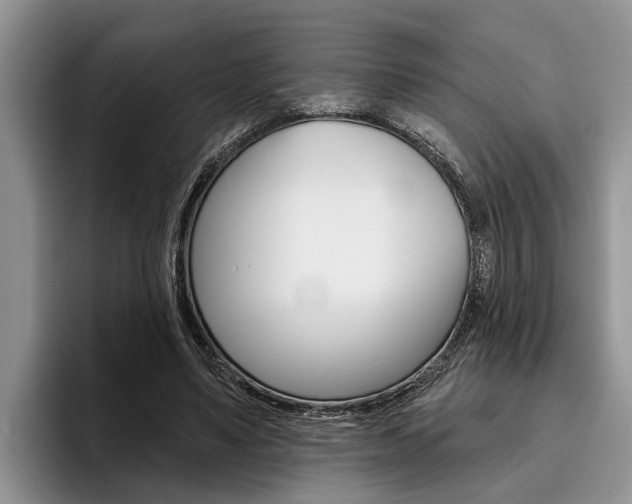 X0000096170491200801180833
