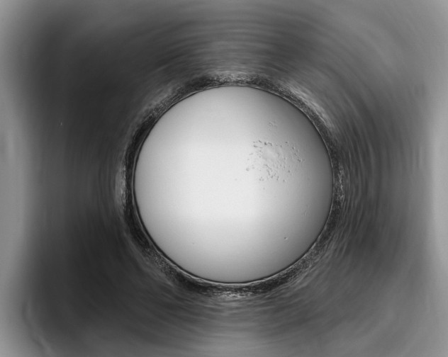X0000096170494200801180833