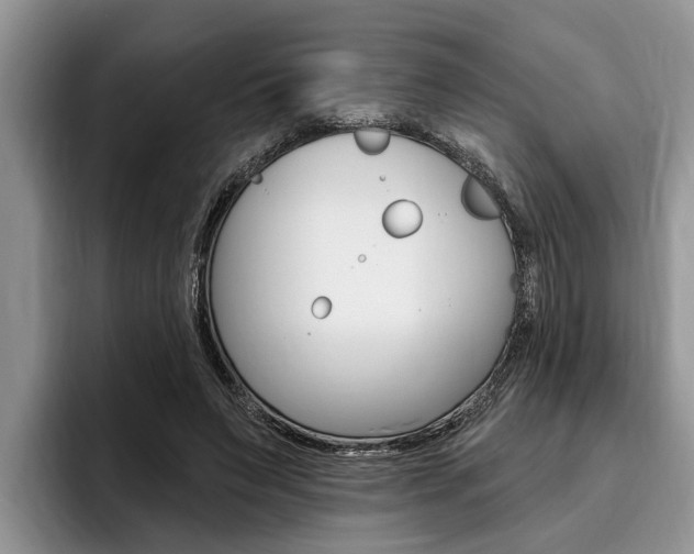 X0000096170495200801180833